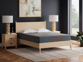 Bay Furniture Gallery - Ashley Furniture - 13 Inch Hybrid Hot Buy Mattresses - Queen / Multi - M20731